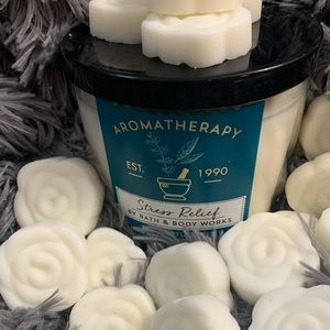 Bath and Body Works Candle Wax Melts